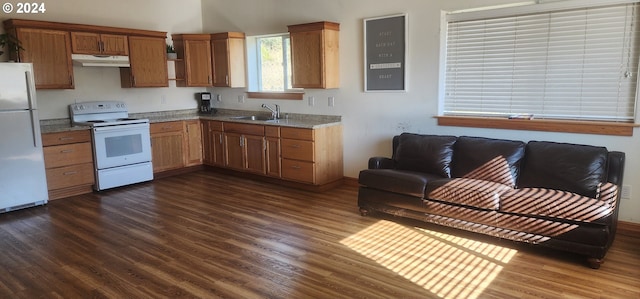 kitchen with dark hardwood / wood-style floors, sink, and white appliances