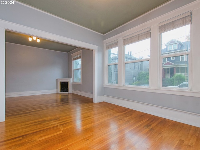 empty room with light hardwood / wood-style flooring and crown molding