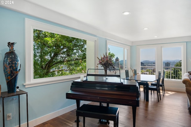 misc room featuring dark hardwood / wood-style floors and plenty of natural light