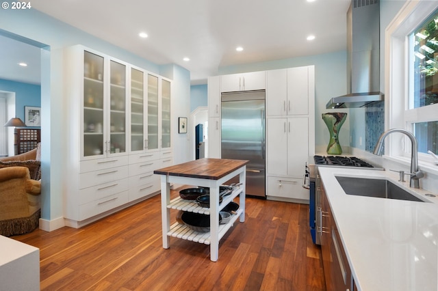 kitchen with white cabinetry, appliances with stainless steel finishes, sink, dark wood-type flooring, and wall chimney exhaust hood