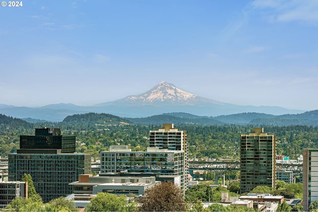 view of mountain feature