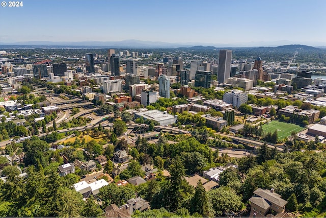 birds eye view of property with a mountain view