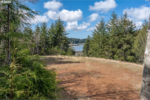 Listing photo 3 for 0 Double Eagle 1907, Coos Bay OR 97420