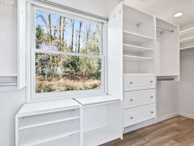 spacious closet featuring hardwood / wood-style flooring