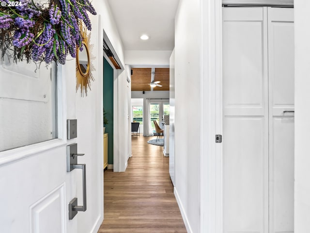 hallway featuring light hardwood / wood-style floors and a barn door