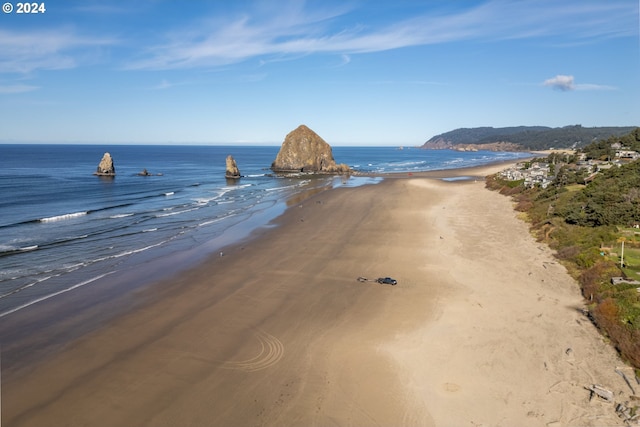 water view featuring a beach view