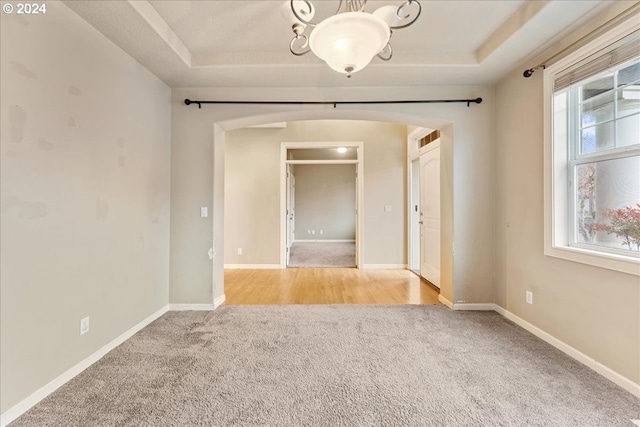 unfurnished room featuring a tray ceiling, a wealth of natural light, and light carpet