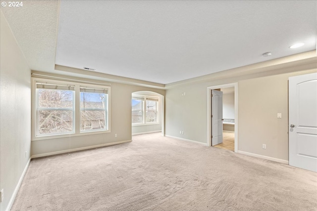 unfurnished room with light colored carpet and a textured ceiling