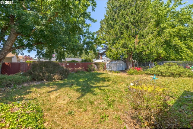 view of yard with a storage shed