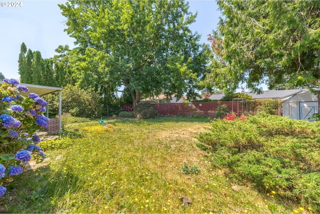 view of yard with an outdoor structure