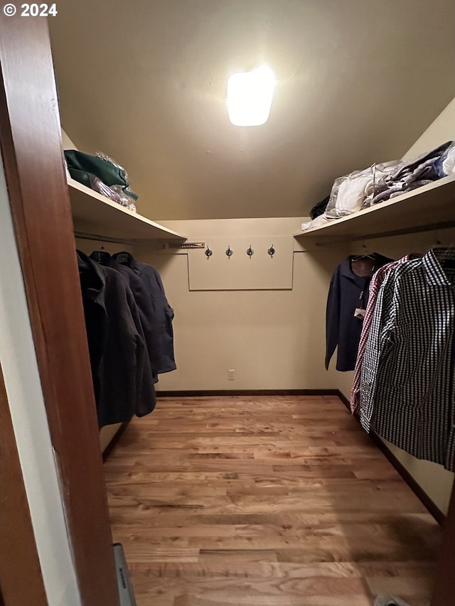 spacious closet with hardwood / wood-style flooring