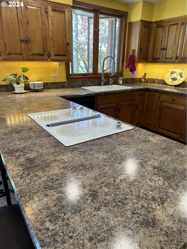 kitchen featuring sink and white electric cooktop