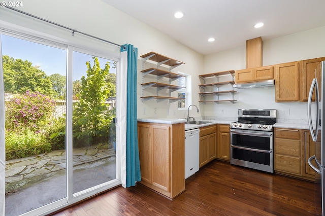 kitchen featuring dark hardwood / wood-style flooring, appliances with stainless steel finishes, sink, and a healthy amount of sunlight