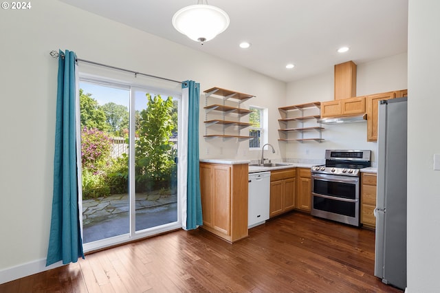 kitchen featuring a wealth of natural light, appliances with stainless steel finishes, sink, and dark hardwood / wood-style floors