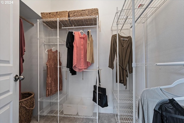 view of spacious closet