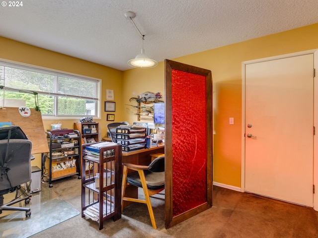 carpeted office with a textured ceiling