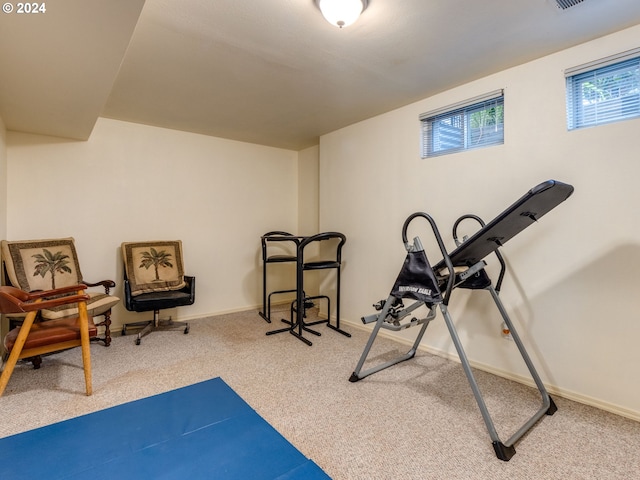 exercise area featuring carpet