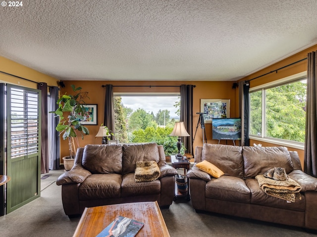 carpeted living room featuring a textured ceiling