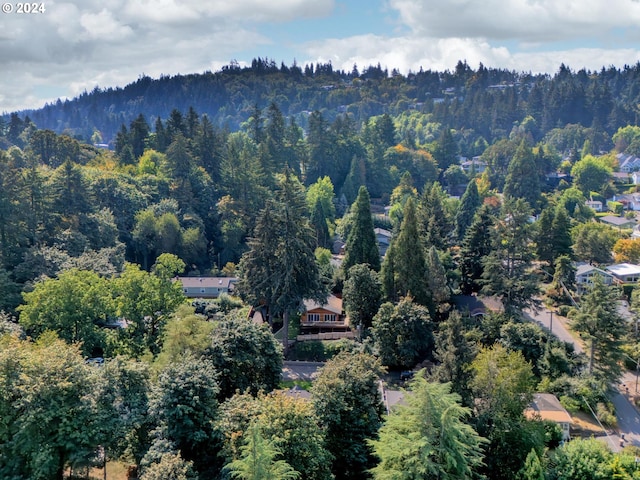 818 Ash St, Lake Oswego, OR 97034 - bird's eye view of a forest