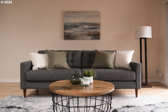 living room featuring wood-type flooring