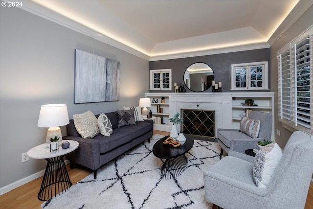 living room with a fireplace, light hardwood / wood-style floors, and a raised ceiling