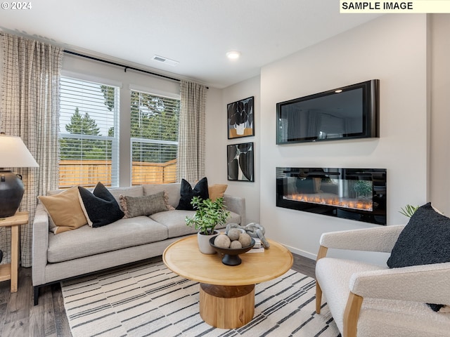 living room featuring wood-type flooring