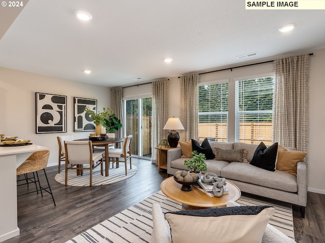 living room featuring a healthy amount of sunlight and dark hardwood / wood-style floors