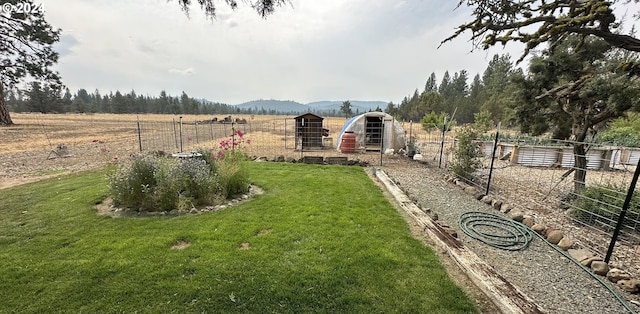 view of yard featuring an outbuilding, a mountain view, and a rural view