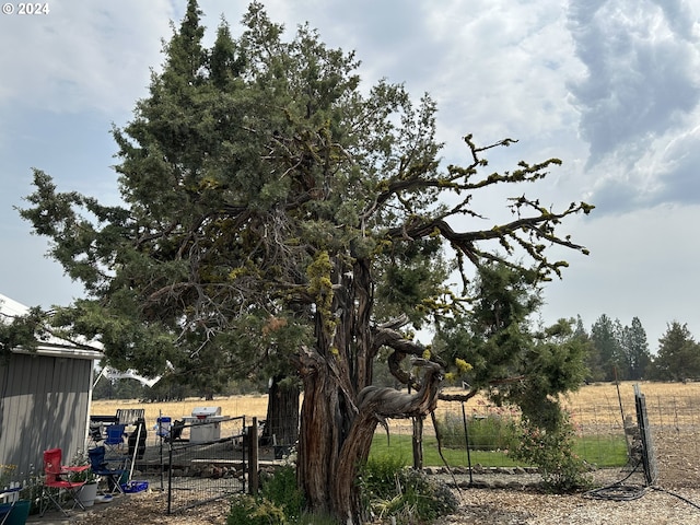 view of yard featuring a rural view