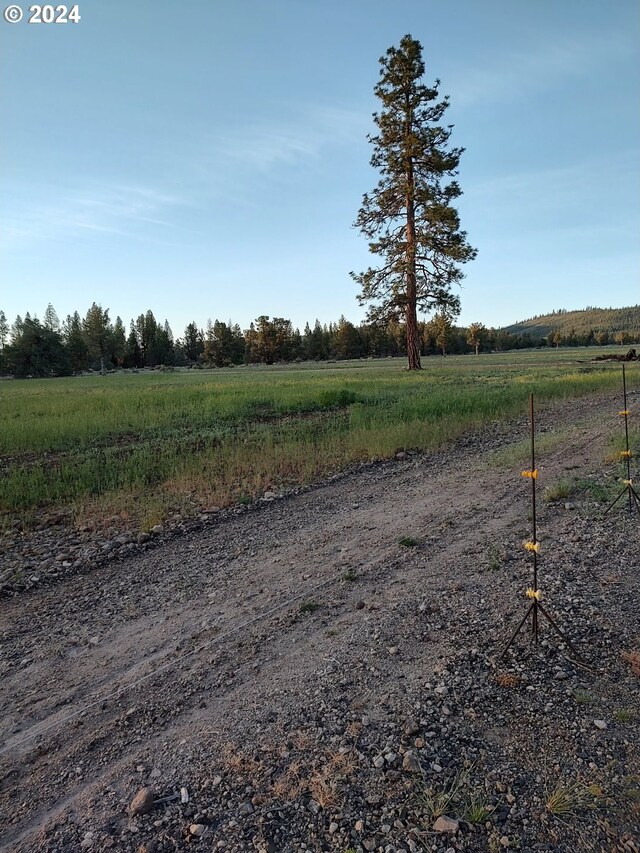 view of nature featuring a rural view