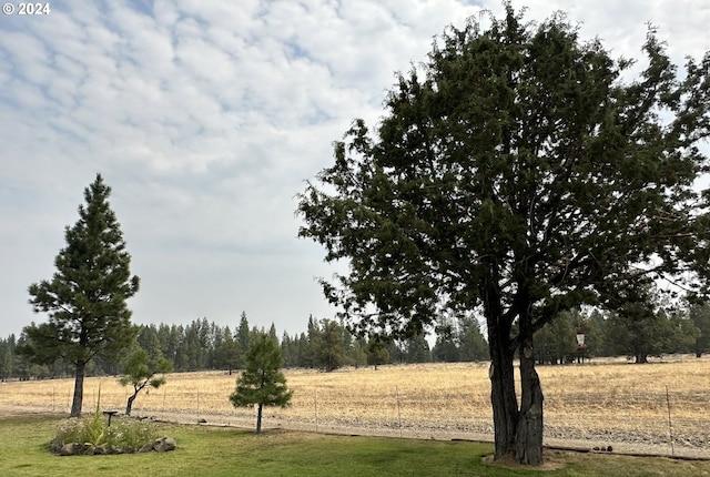 view of yard featuring a rural view