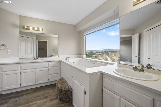 bathroom with a mountain view, wood-type flooring, vanity, and a washtub