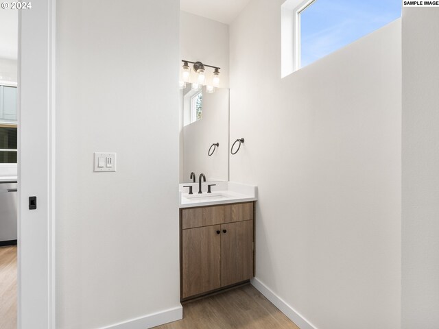 bathroom with wood-type flooring and vanity