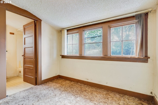 spare room with lofted ceiling, a textured ceiling, and light colored carpet