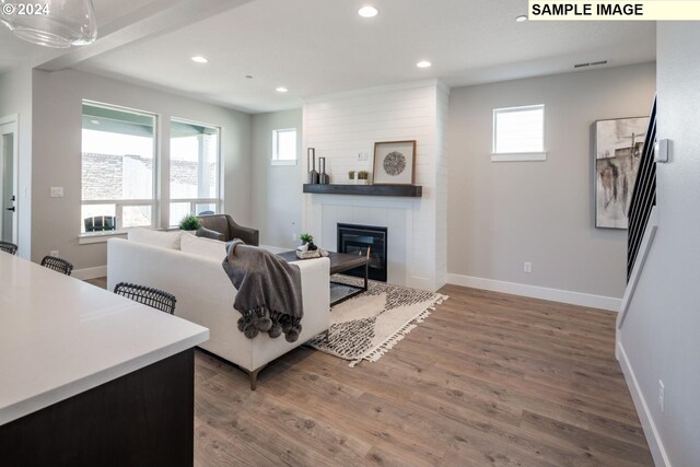 living room featuring a fireplace, hardwood / wood-style floors, and a healthy amount of sunlight