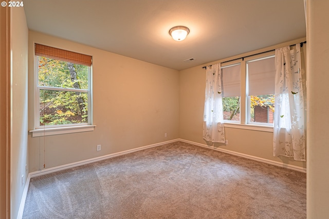 spare room with carpet floors