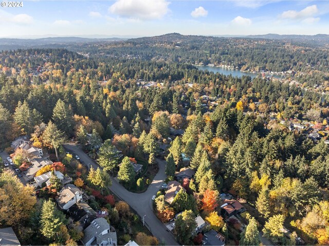 birds eye view of property featuring a view of trees and a water and mountain view