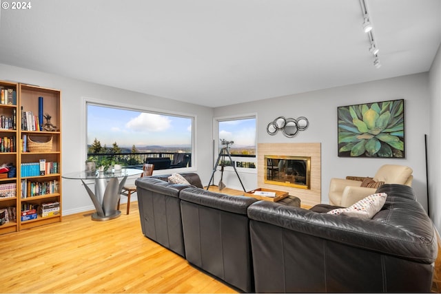 living area with a glass covered fireplace, plenty of natural light, rail lighting, and light wood-style flooring