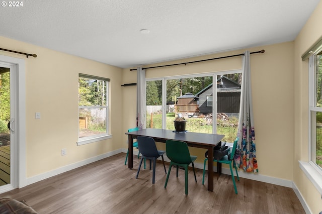 dining space with baseboards, a healthy amount of sunlight, and wood finished floors