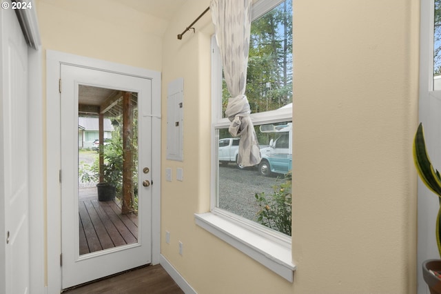 doorway with a wealth of natural light, electric panel, and dark wood-style flooring