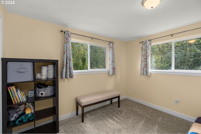 sitting room with carpet flooring, plenty of natural light, and baseboards