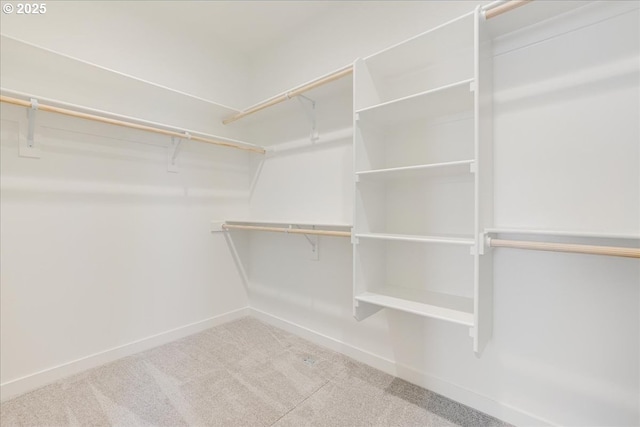 walk in closet with carpet