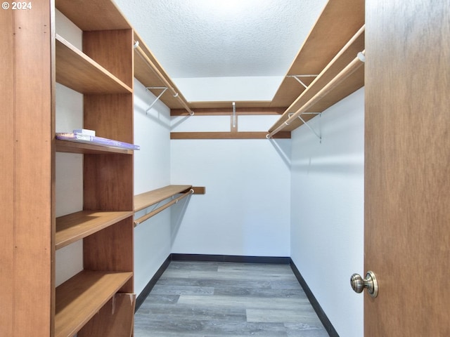 spacious closet featuring dark hardwood / wood-style floors