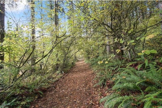 13235 NW Pumpkin Ridge Rd, North Plains, OR 97133 - view of wooded area