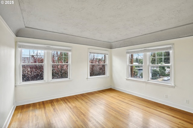 empty room featuring hardwood / wood-style floors and lofted ceiling