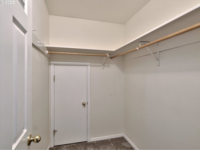 walk in closet featuring dark colored carpet