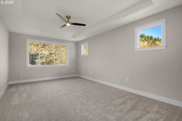 carpeted empty room featuring a raised ceiling and ceiling fan