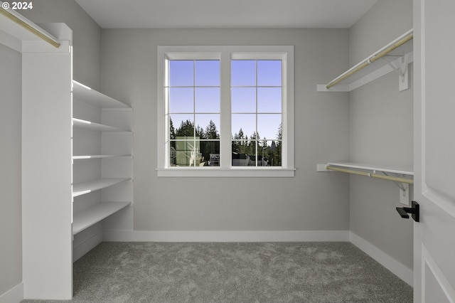 walk in closet featuring carpet floors