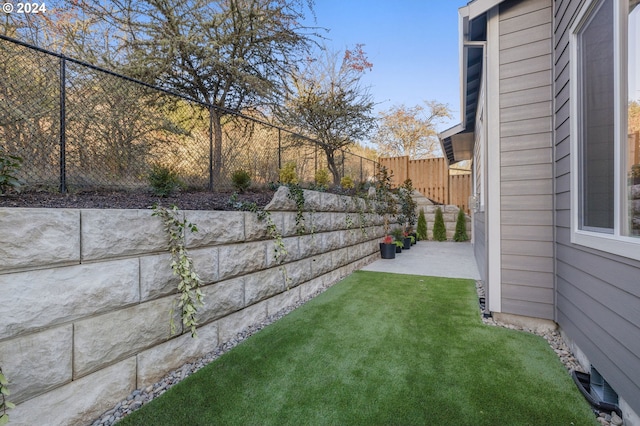 view of yard with a patio