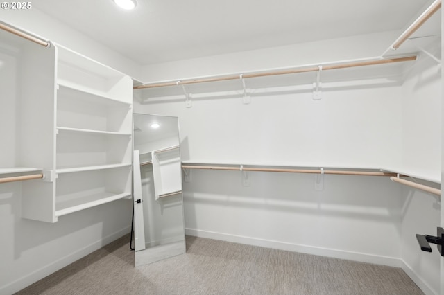 spacious closet featuring light carpet